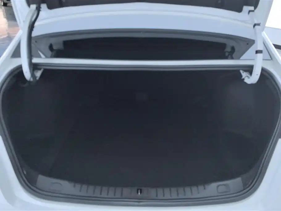 BUICK WEILANG