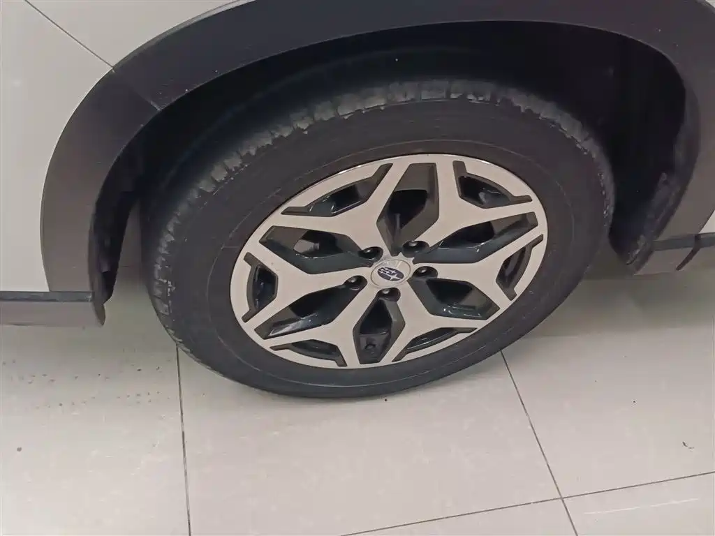 Subaru Forester 2019 2.0i Luxury Edition EyeSight фото 25