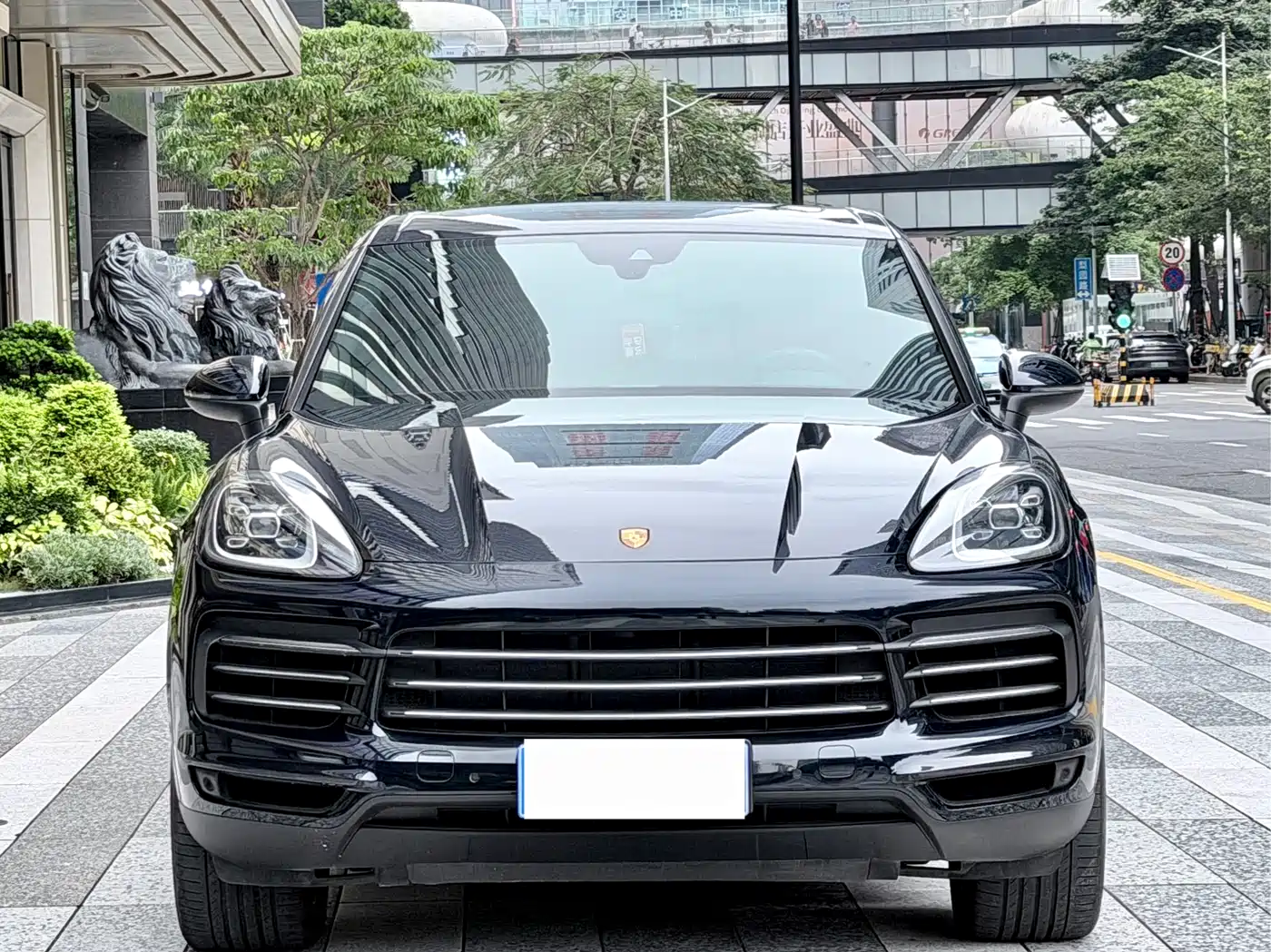 Porsche Cayenne 2019 Cayenne 3.0T фото 2