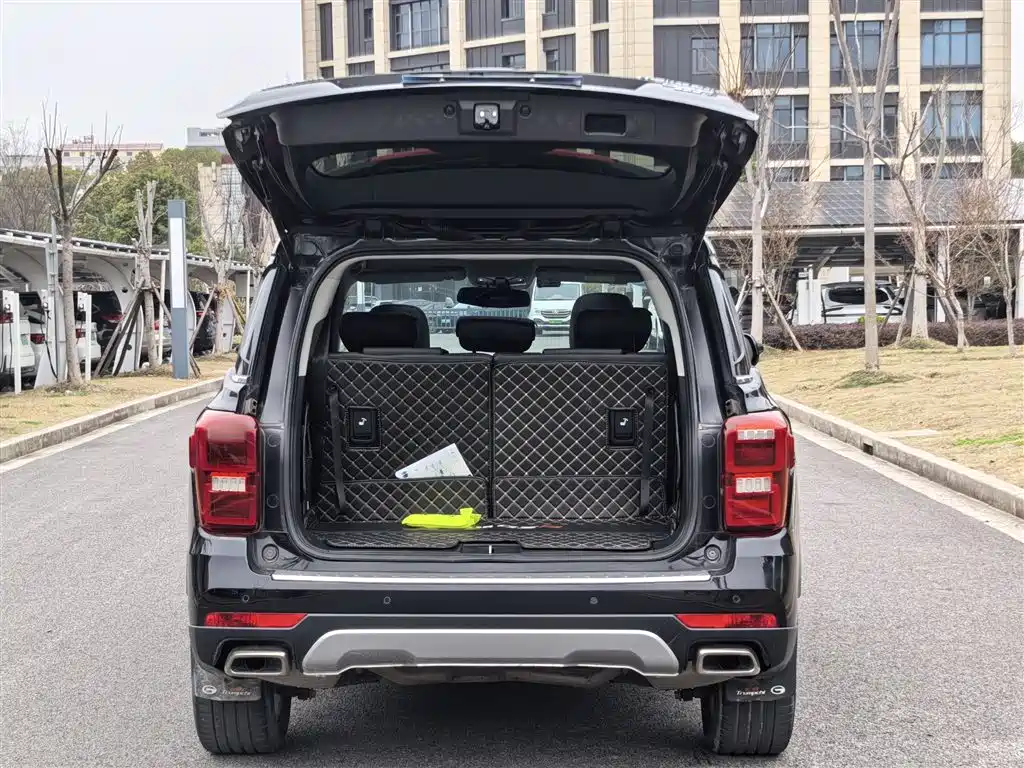 GAC Trumpchi Trumpchi GS8 2019 390T 2WD Luxury Smart Connect Edition (7-seater) фото 10