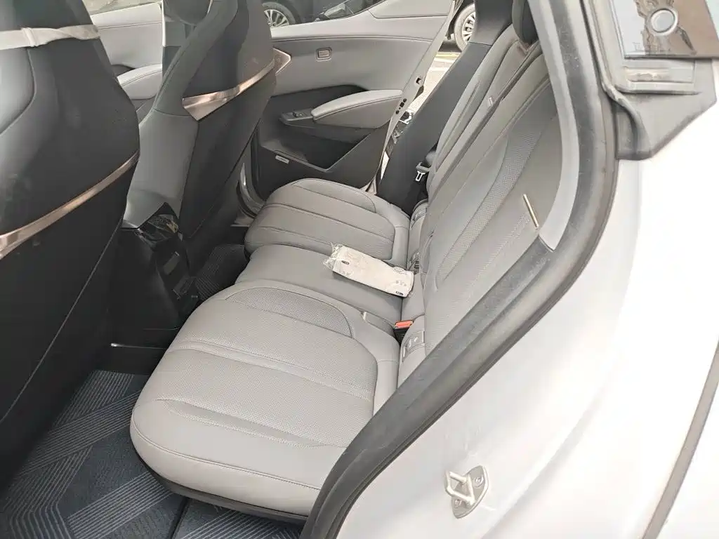 ZEEKR X 2024 2023 RWD YOU Edition 4-seater