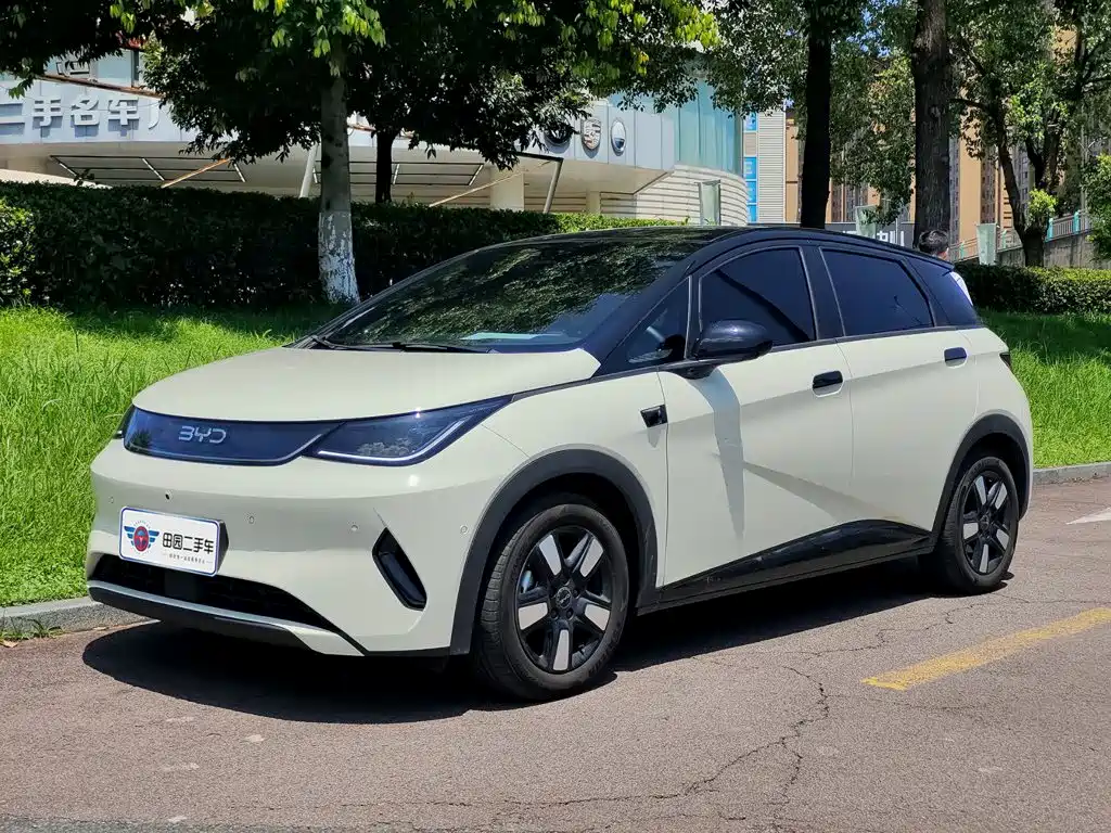 BYD Dolphin
