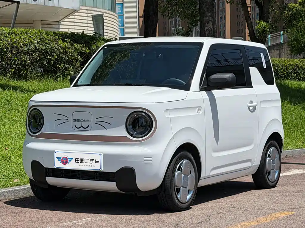 Geely Galaxy Panda 2024