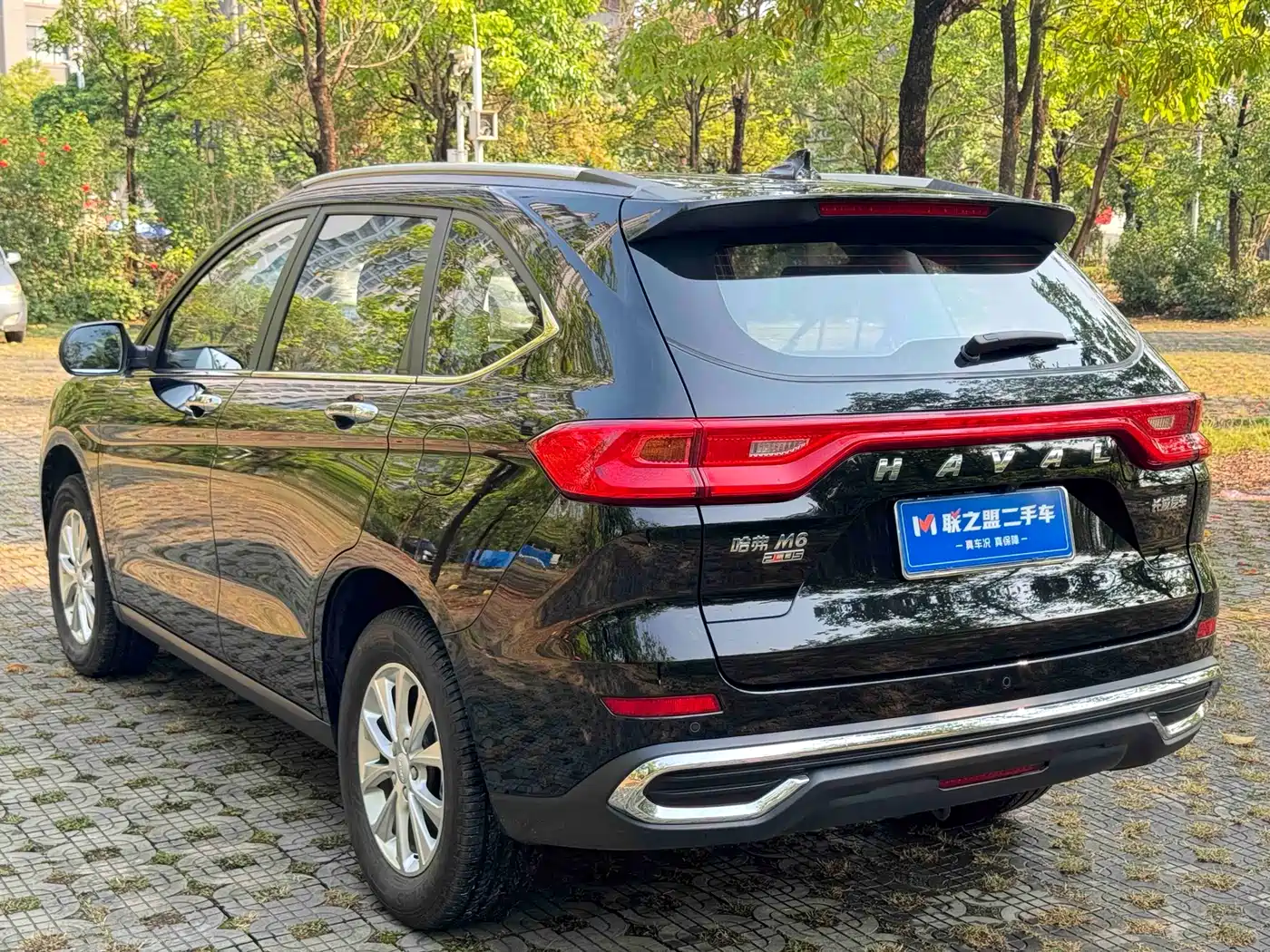 HAVAL M6