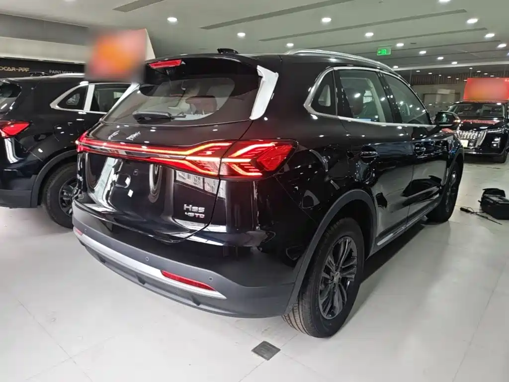 Фото 7 - Hongqi HS5