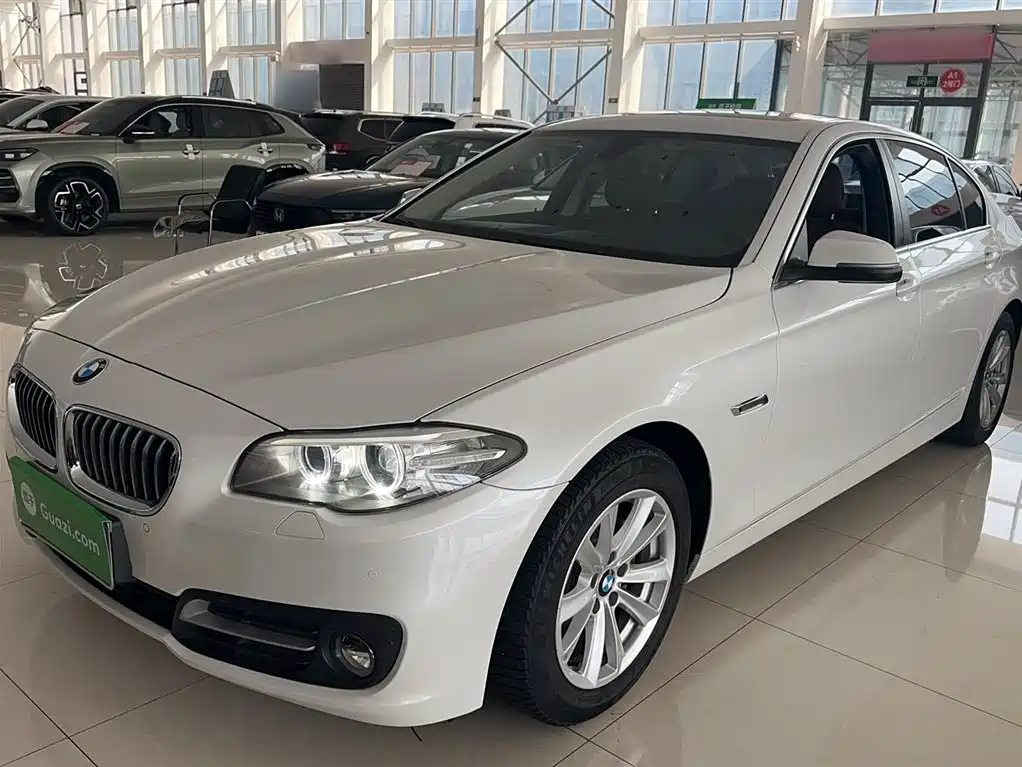 BMW 5 Series 2014 520Li Elegance фото 5