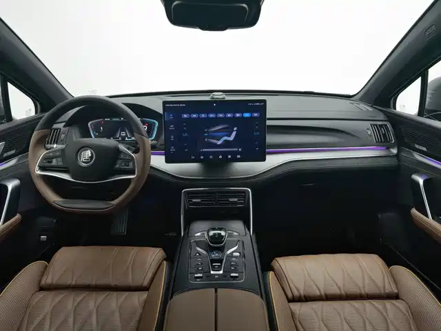 BYD Tang New Energy 2021 DM-i 112KM Honor — фото 5