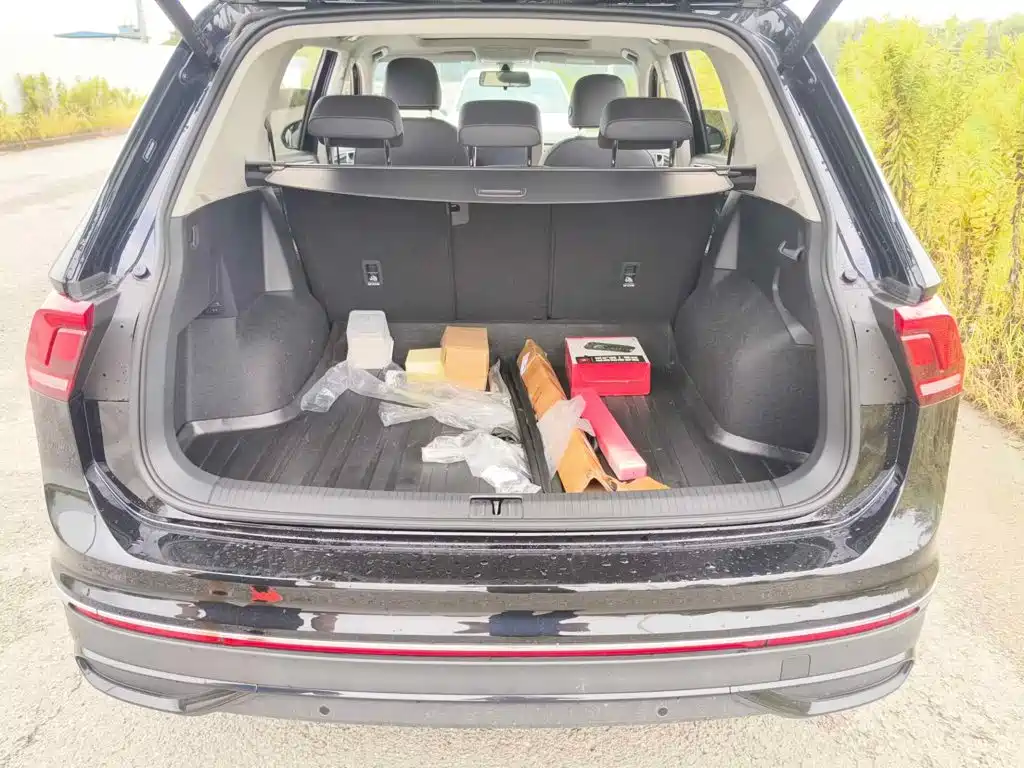 Volkswagen Tiguan L 2025 2025 Model 300TSI Auto 2WD Dragon Edition