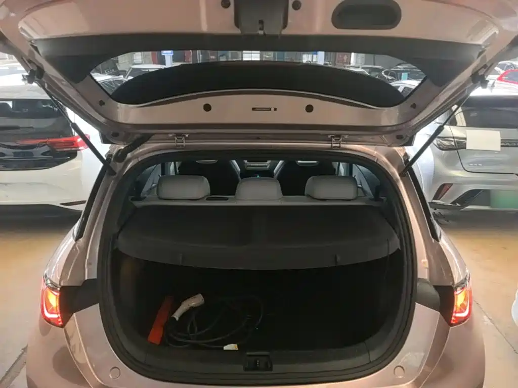 BYD Dolphin 2022 2021 Model 405km Fashion Edition