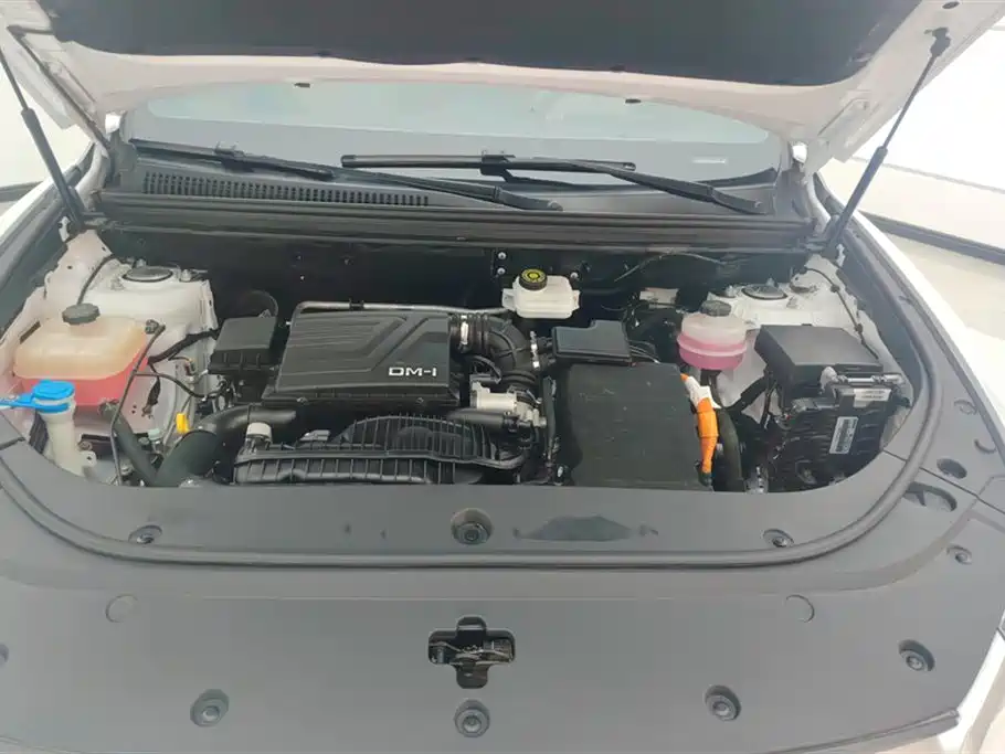 BYD Song Pro New Energy 2022 DM-i 110km Flagship Pro фото 10