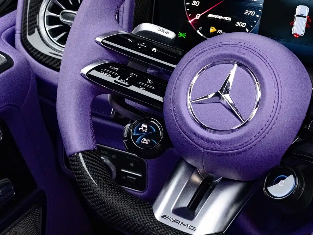 Mercedes-Benz G-Class 2010 G 500 фото 40