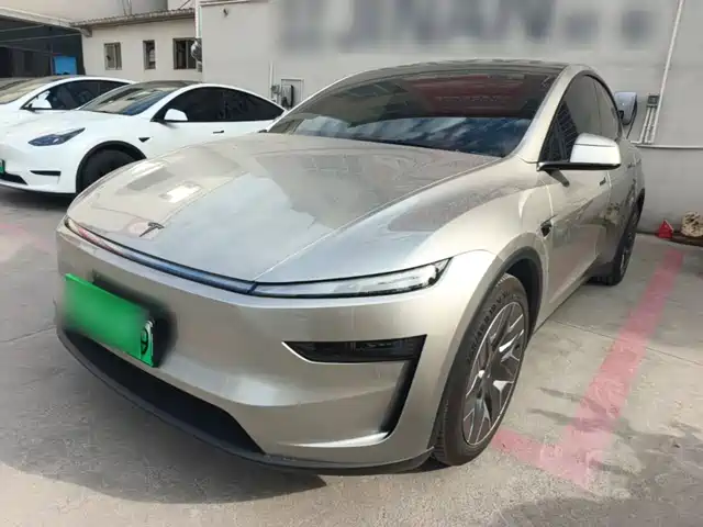 Tesla Model Y L, фото 1