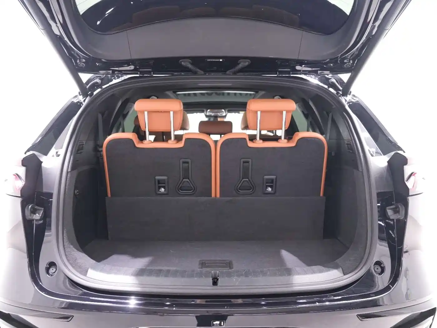 BYD Tang New Energy 2023 Model DM-i Champion Edition 112KM Honor фото 13