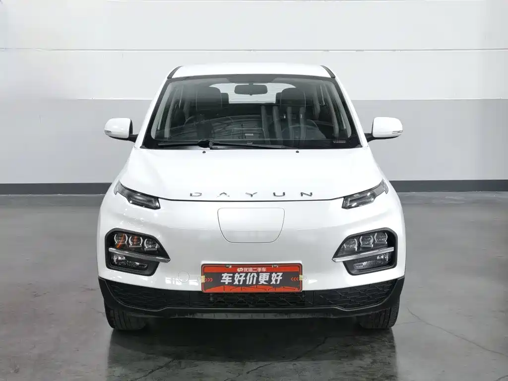 Dayun Yuehu 2022 2021 32.85kWh 2WD Elf Edition