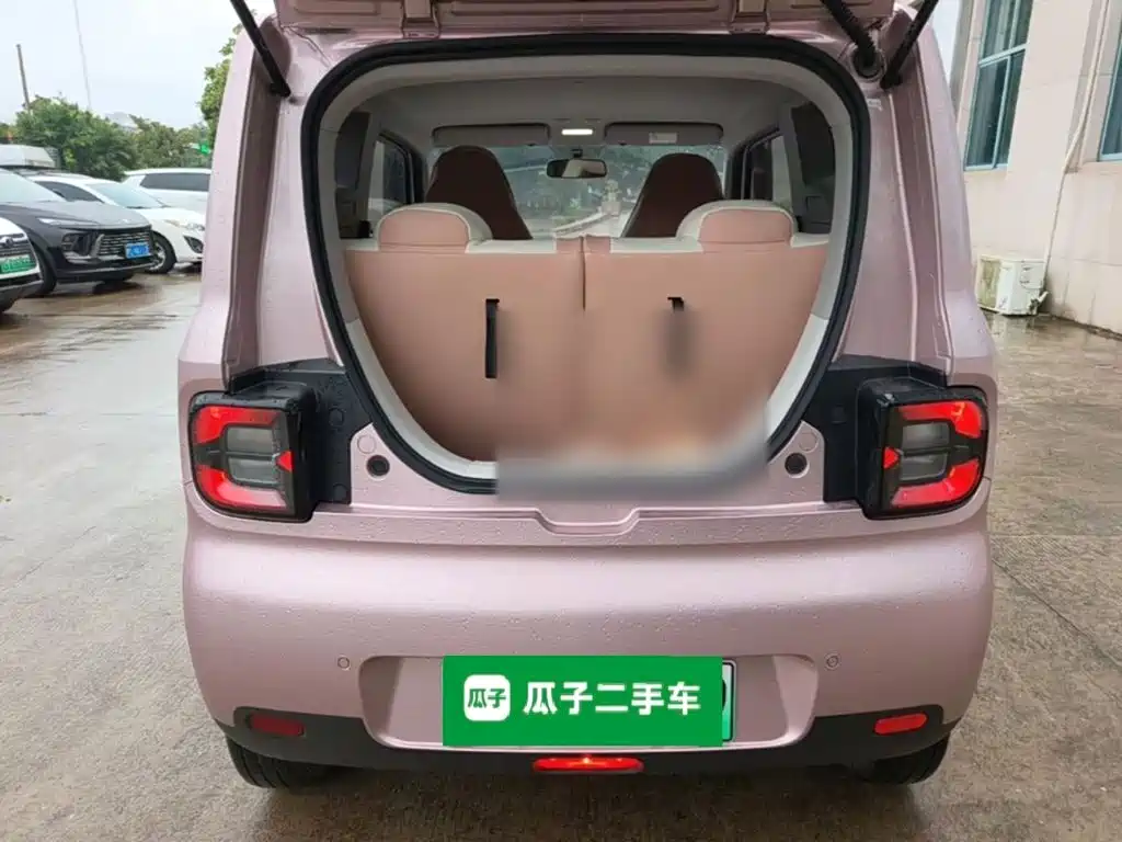 Фото 19 - Geely Galaxy Panda
