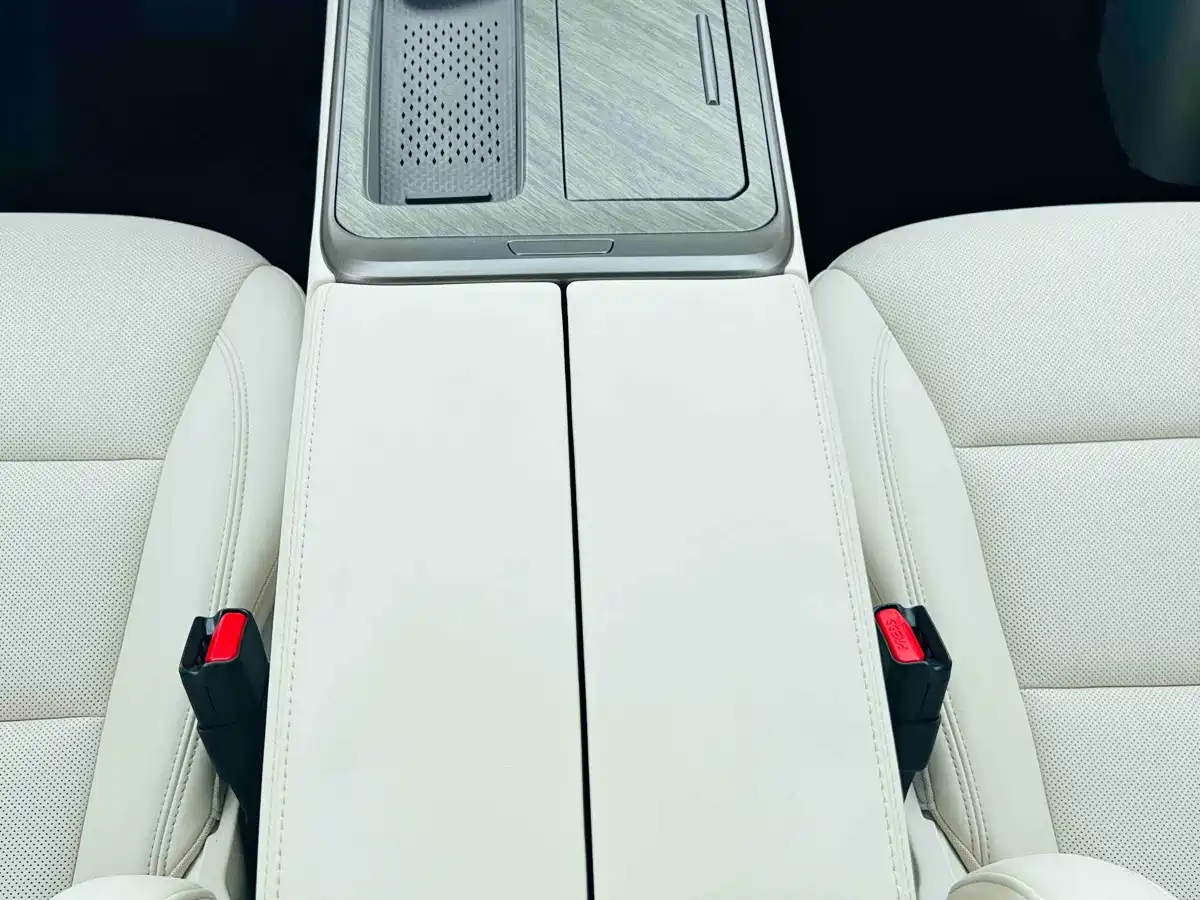 WEY Alpine 2025 2025 AWD Alpine 8