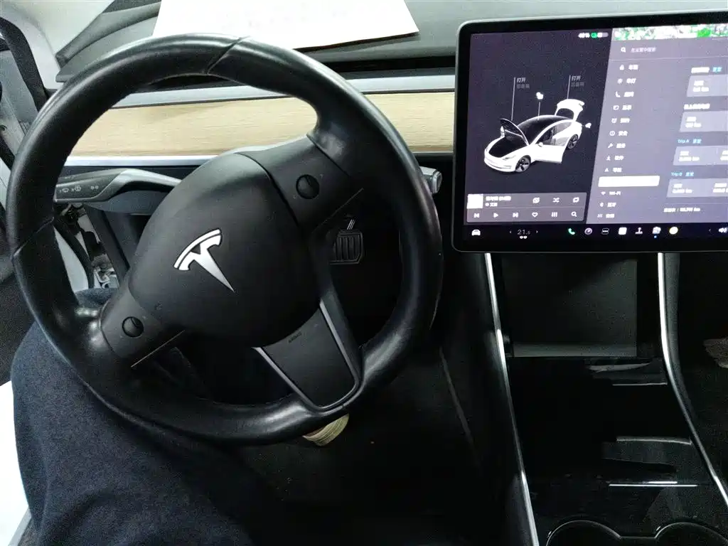 TESLA MODEL 3 (IMPORTED)