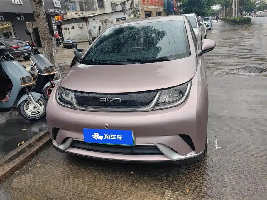 BYD Dolphin 2024 Glory Edition 420km Freedom Edition фото 2