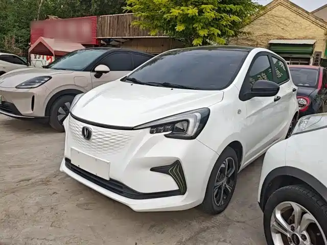 Changan Benni E-Star 心悦版 磷酸铁锂(31.18kWh)
