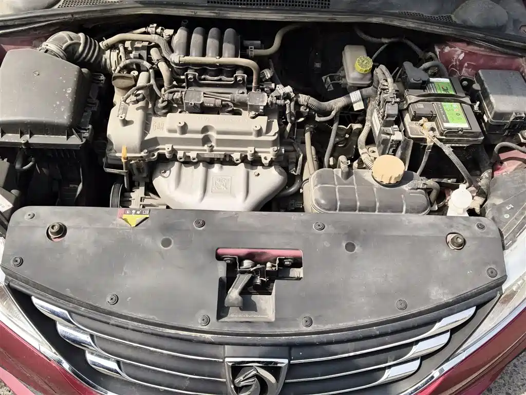 Baojun 310 2018 2016 1.2L Manual Fashion Model