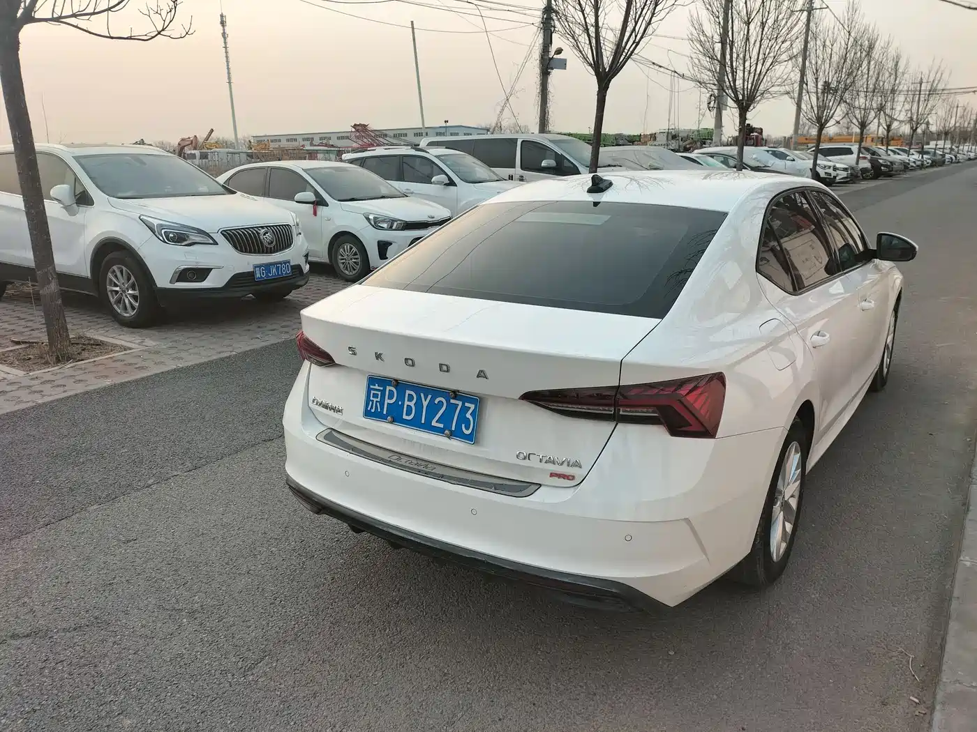 SKODA OCTAVIA