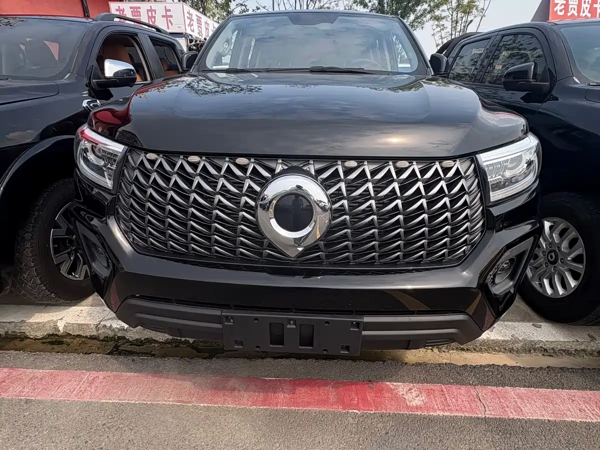 Great Wall Pao 2025 2024 Model 2.4T Commercial Version Automatic Diesel 4WD Elite Type