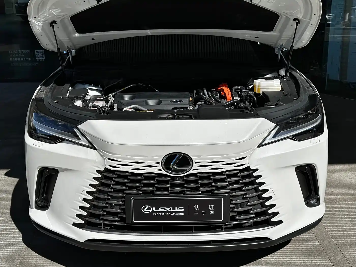 Lexus RX New Energy 2023 450h+ 4WD Enjoyment фото 11