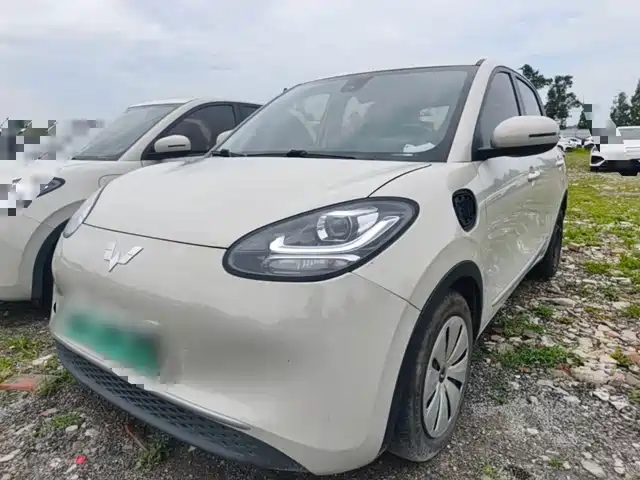  Wuling Motors Wuling Bingo 2023 333km Quick Enjoy Version
