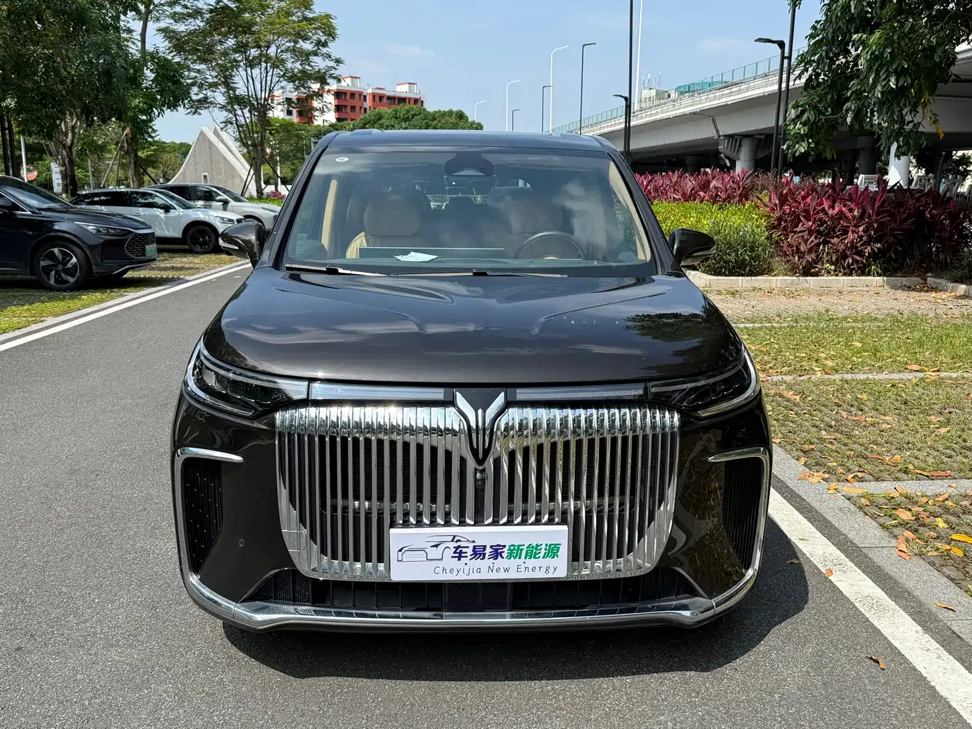 Voyah Auto Voyah Dreamer 2025 PHEV AWD Flagship Kunpeng Edition фото 8