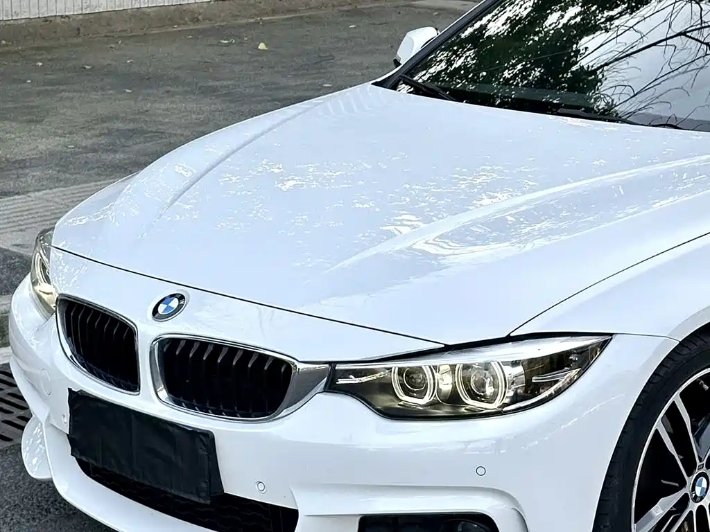 BMW 4 Series 2019 425i Gran Coupe M Sport Package фото 2