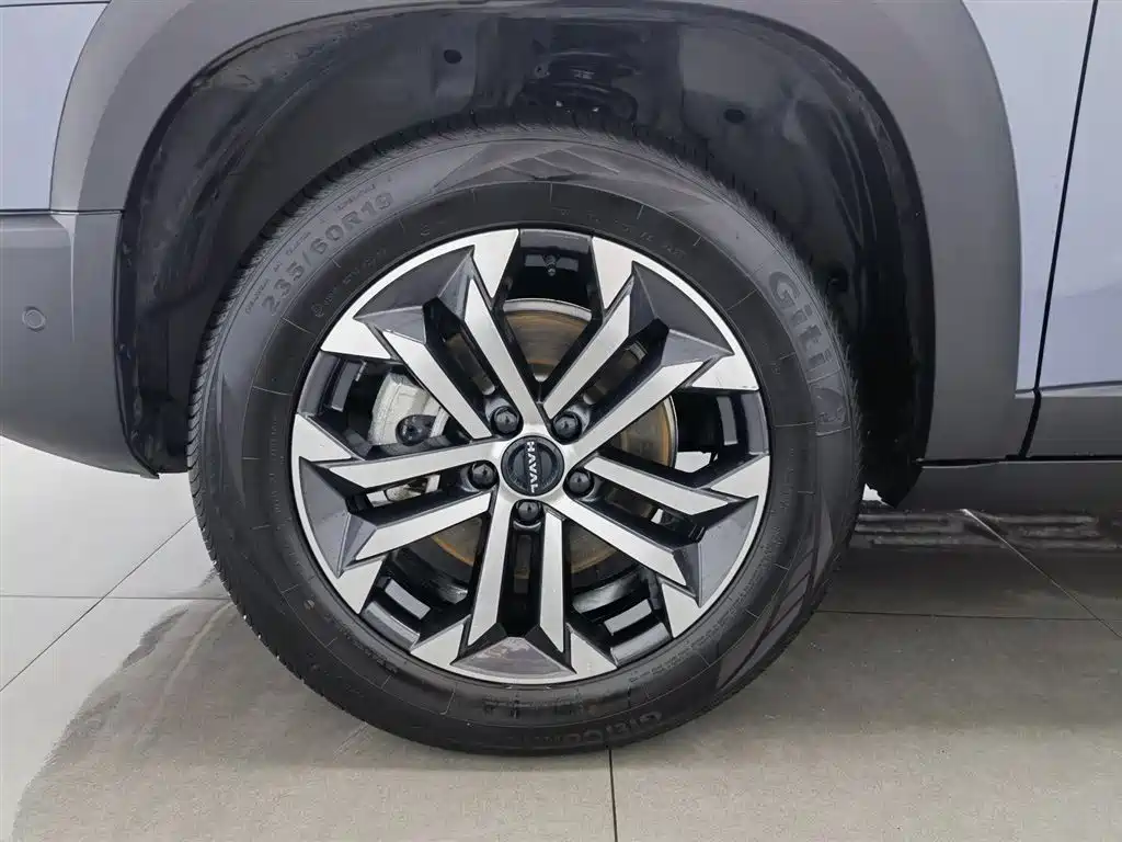 Haval Big Dog 2026 Model 1.5T High Configuration фото 17