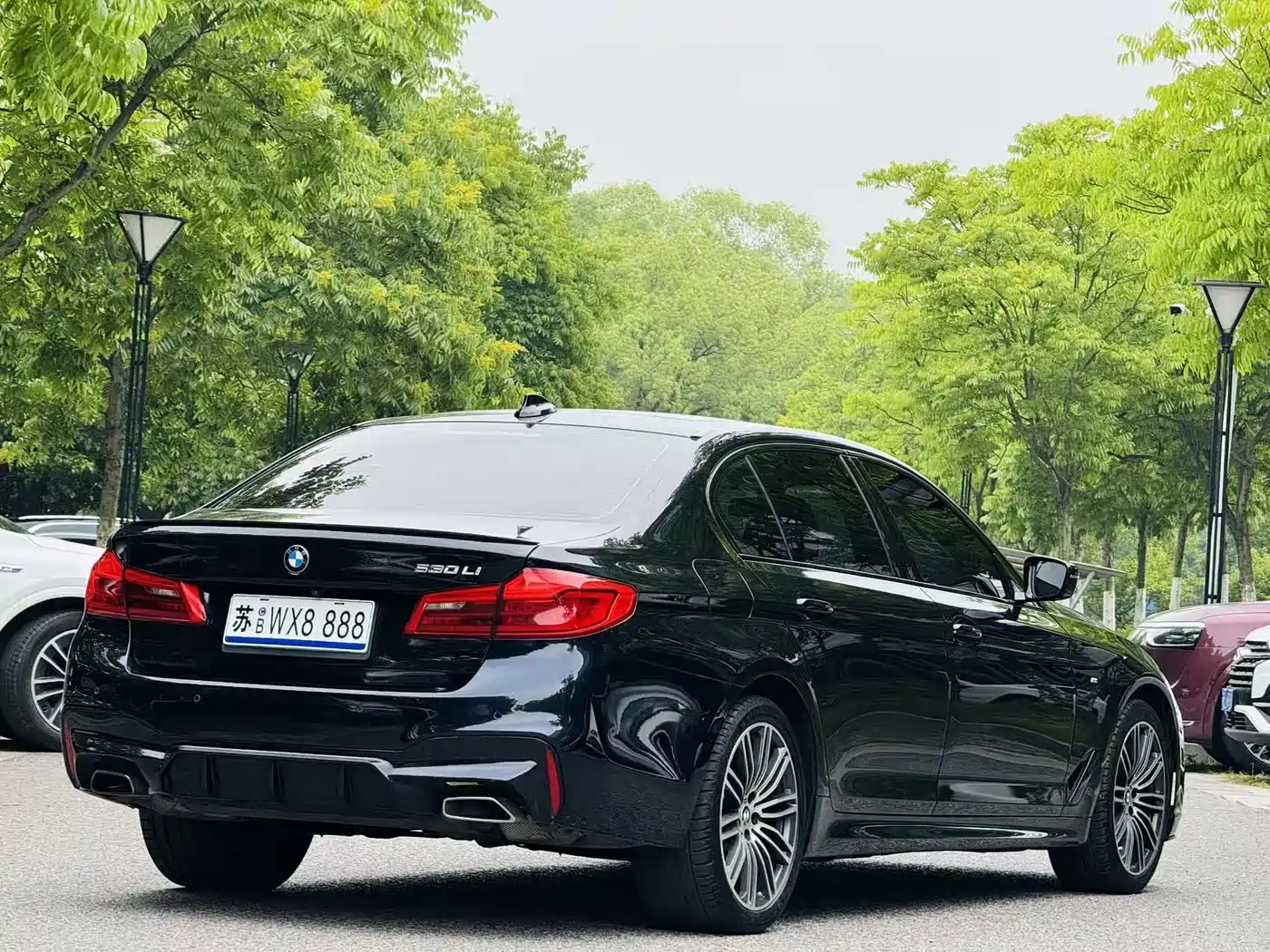 BMW 5 Series 2019 530Li Premium M Sport Package фото 7