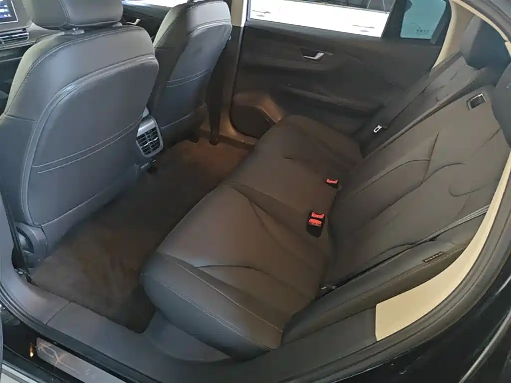 Hongqi E-QM5 2023 Facelift Basic Travel Edition фото 17