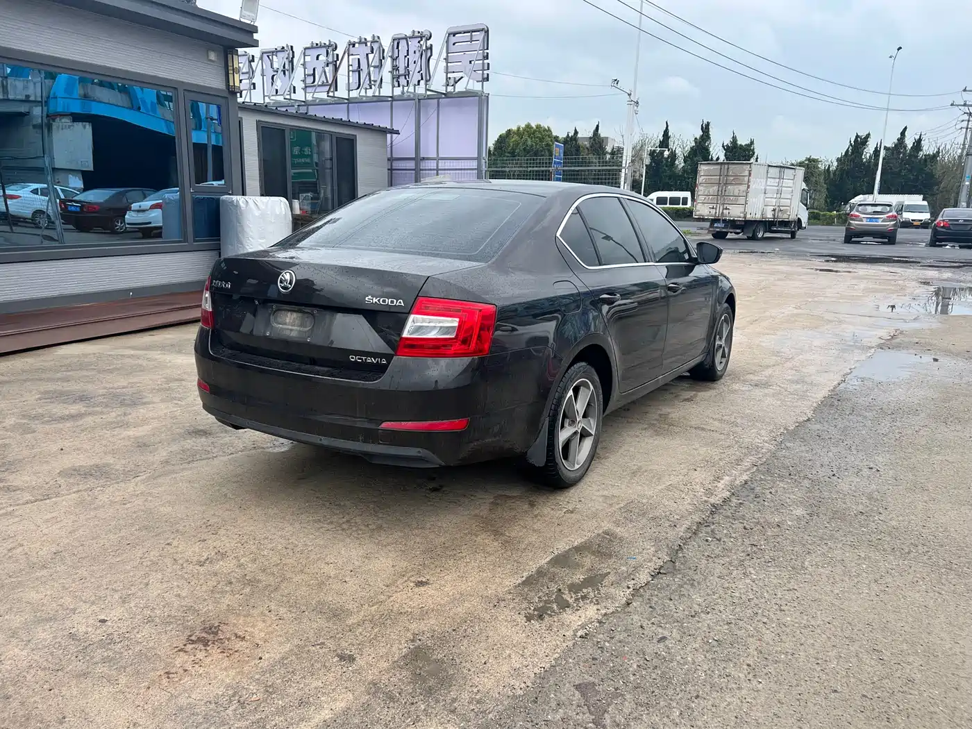Škoda Octavia 2016 1.6L Automatic Pioneer Edition фото 8