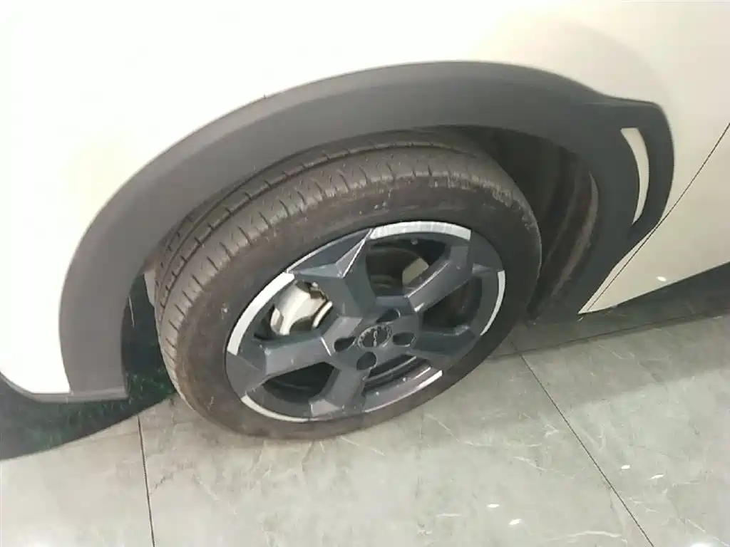 BYD Seagull 2023 Freedom Edition фото 23