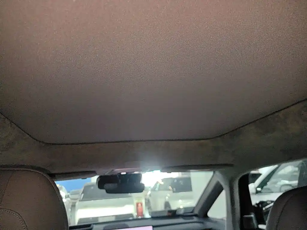 ZEEKR MIX 2025 2025 Smart Driving Edition