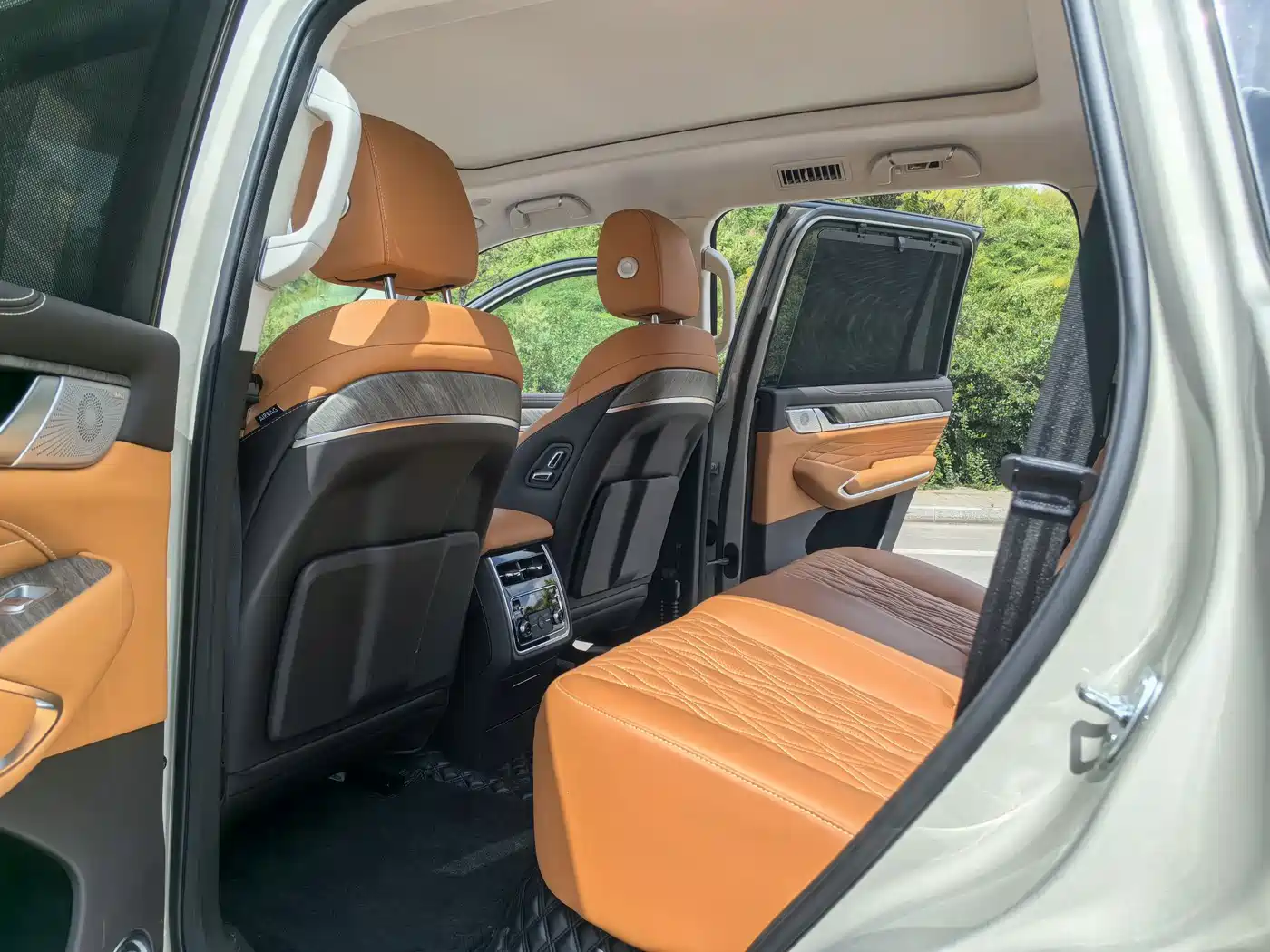 Tank 500 2023 2023 3.0T Business Edition (5-seater)