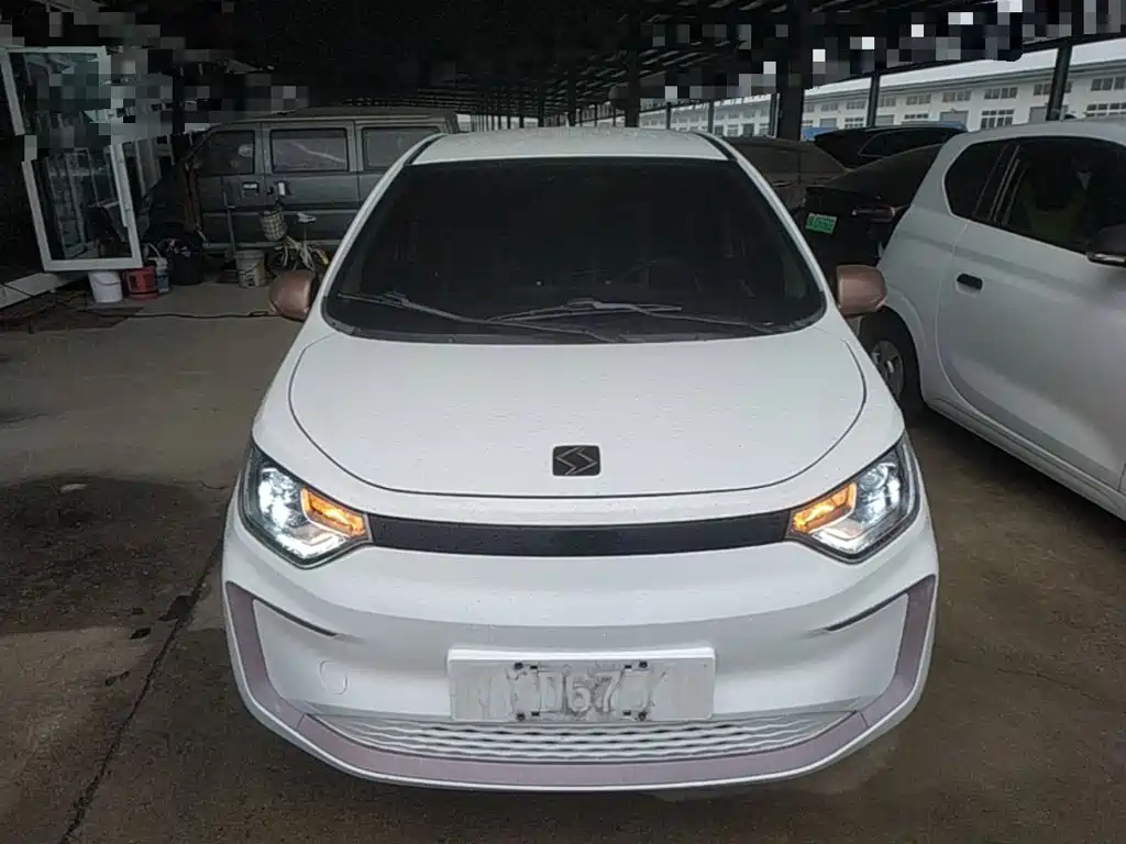 Sehol Flower Fairy 2023 2023 251km Four-leaf Clover 36kW