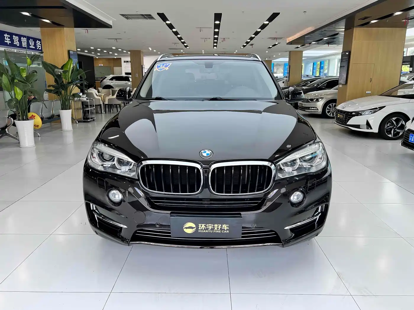 BMW X5 (Import) 2017 xDrive35i Elegance фото 2