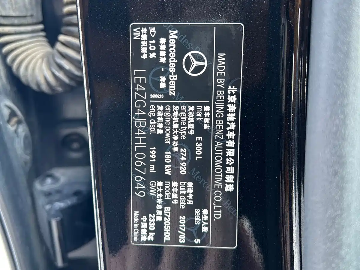 Mercedes-Benz E-Class 2017 E 300 L Luxury фото 13