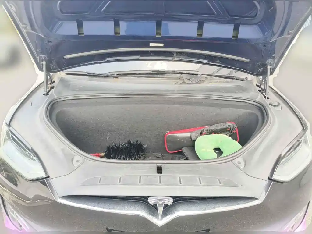 Фото 3 - Tesla Model X