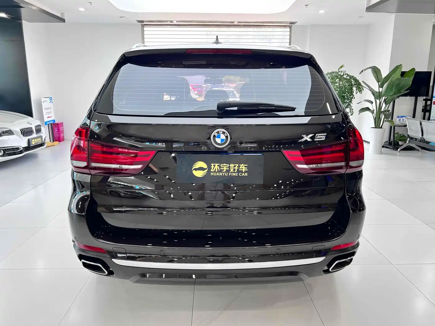 BMW X5 (Import) 2017 xDrive35i Elegance фото 8