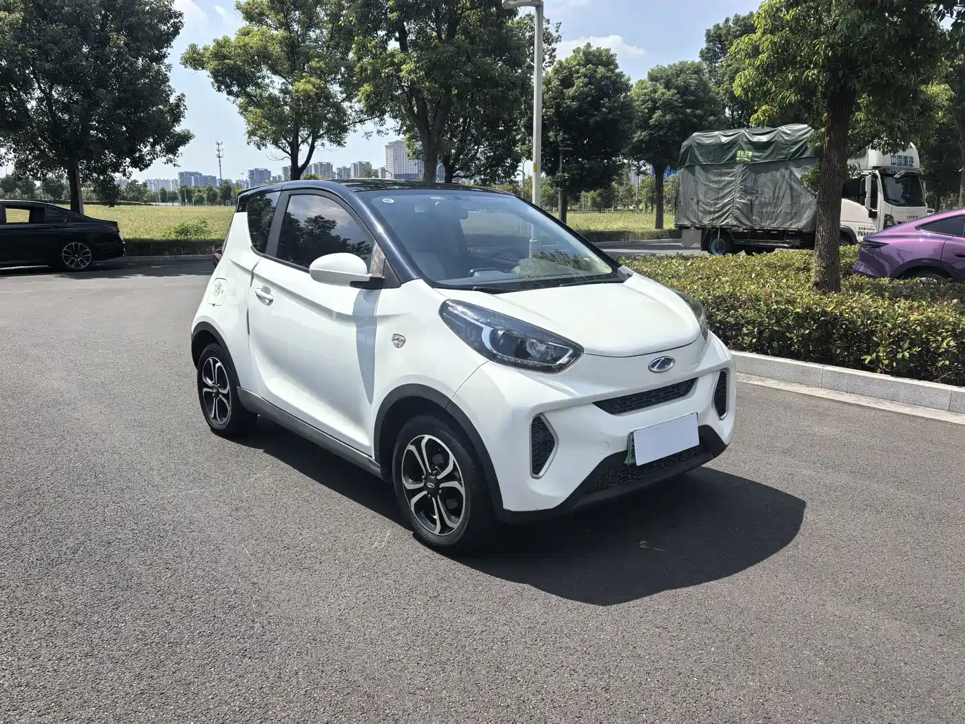 QQ New Energy Little Ant 2020 2021 150K Ant Fans Edition Ant Cool LFP