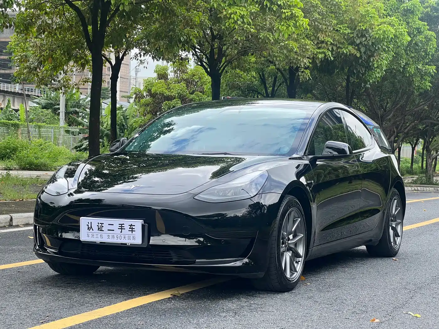 Tesla Model 3 2021 Facelift Standard Range RWD Upgrade 3D1