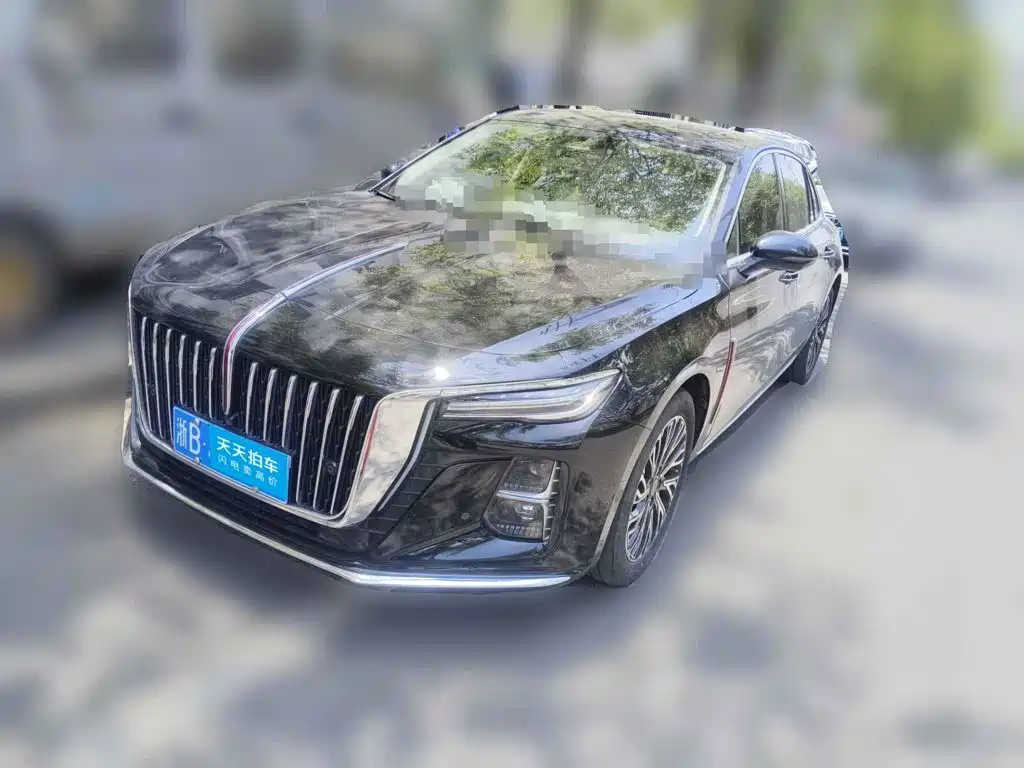 Hongqi H5 2024 2.0T Automatic Smart Connect Flag Smooth Edition