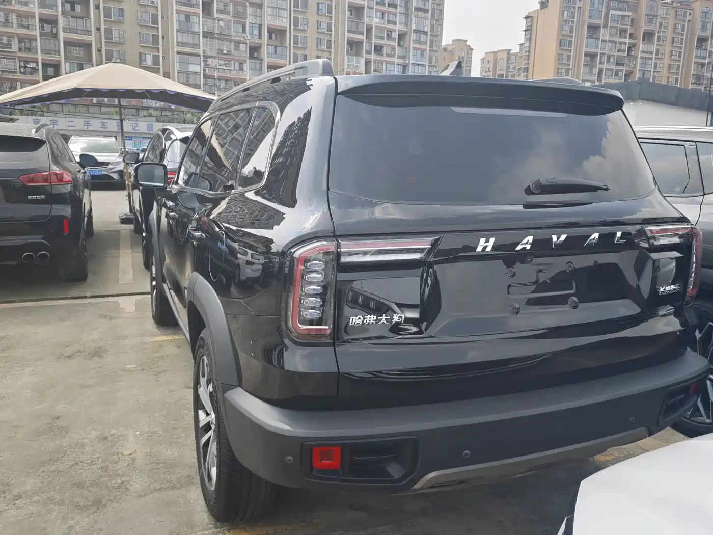 HAVAL BIG DOG