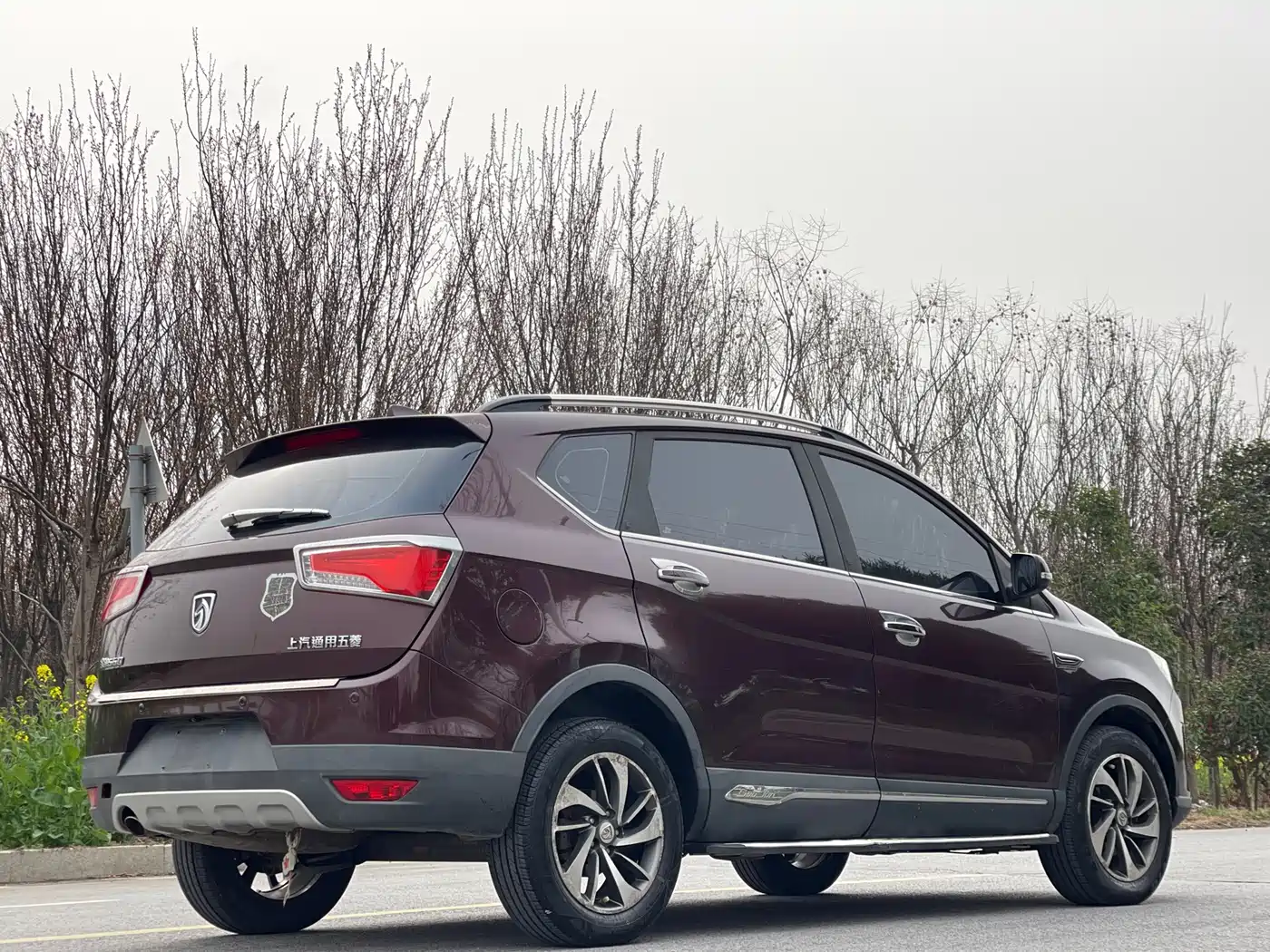 BAOJUN 560