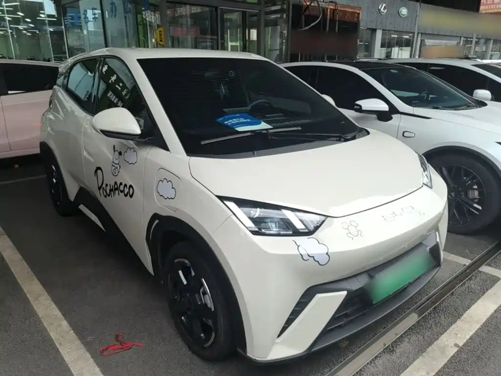 BYD Seagull 2023 Freedom Edition фото 4