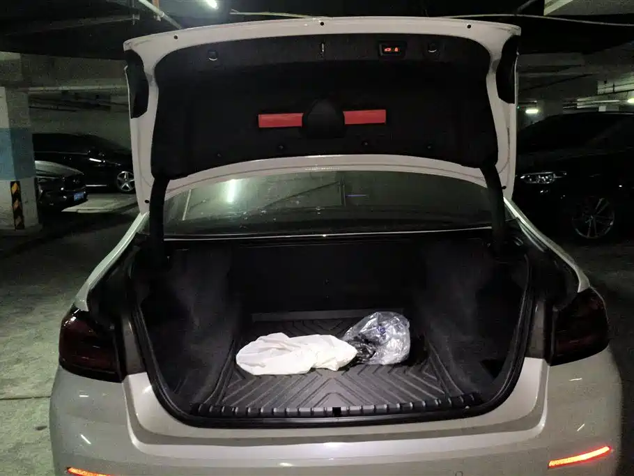 BMW 5 Series 2022 Model Second Facelift 530Li xDrive Luxury Package фото 4