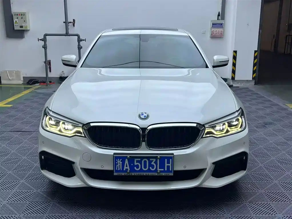 BMW 5 Series 2020 530Li Leading M Sport Package фото 2